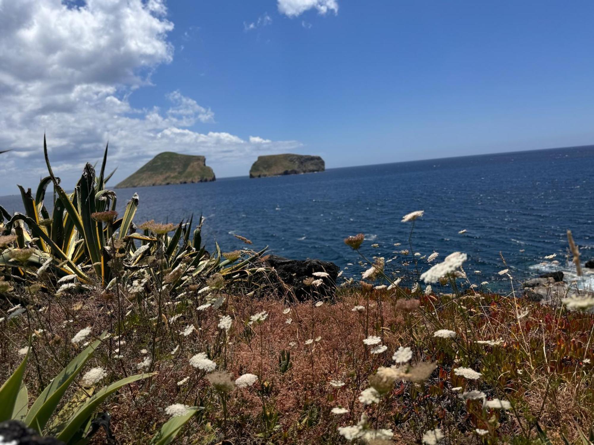 Casa Beira Mar Villa Angra do Heroísmo Kültér fotó